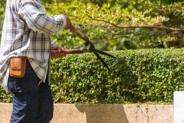 Garden Maintenance Streatham Hill, SW2